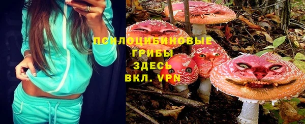 трава Алзамай