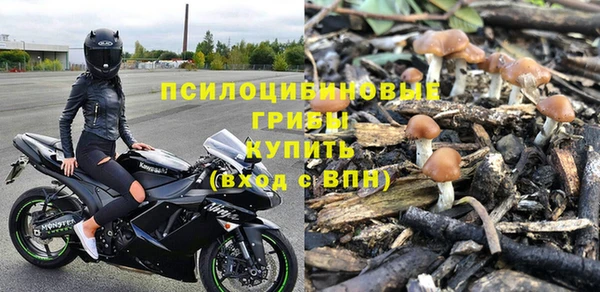 ешки Алексин