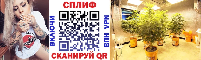 Канабис план  Лебедянь 